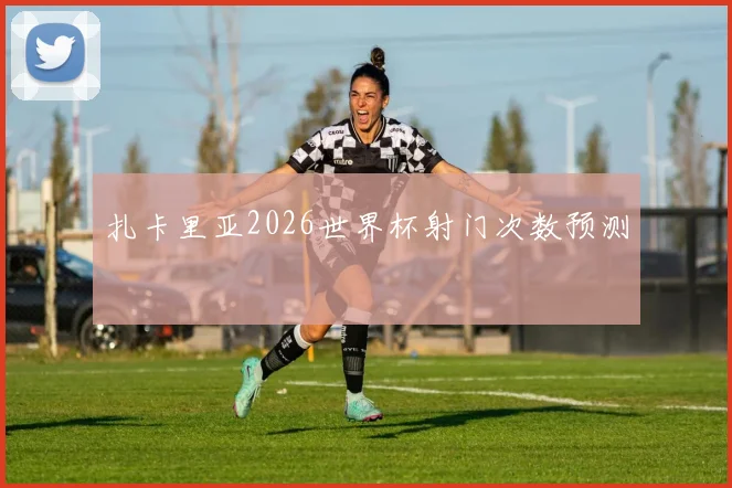 扎卡里亚2026世界杯射门次数预测