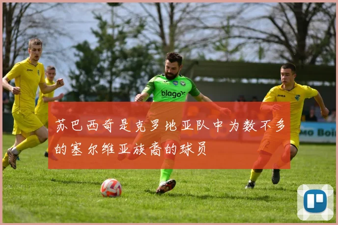 苏巴西奇是克罗地亚队中为数不多的塞尔维亚族裔的球员