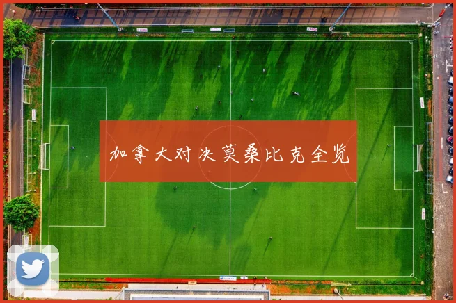 加拿大对决莫桑比克全览