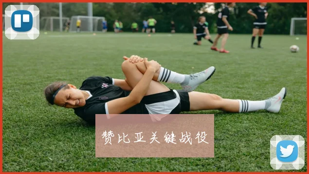 赞比亚关键战役