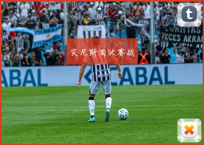 突尼斯淘汰赛战