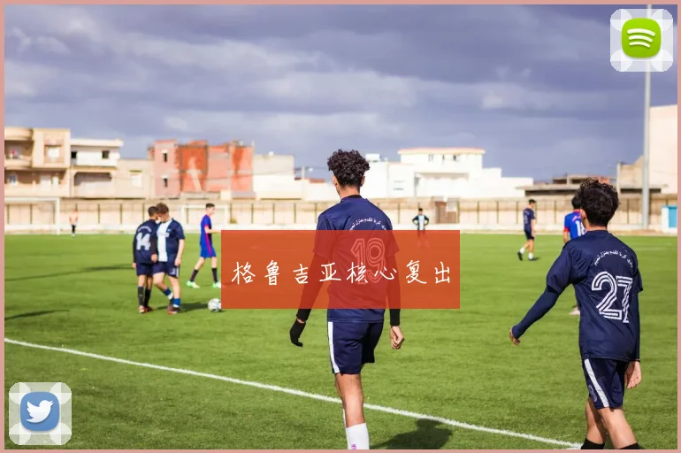 格鲁吉亚核心复出