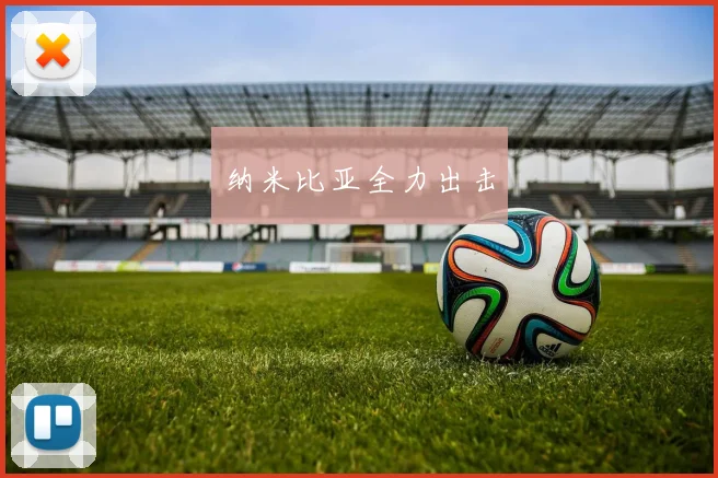 纳米比亚全力出击
