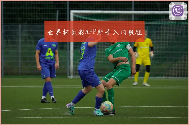 世界杯竞彩APP新手入门教程