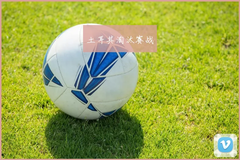 土耳其淘汰赛战