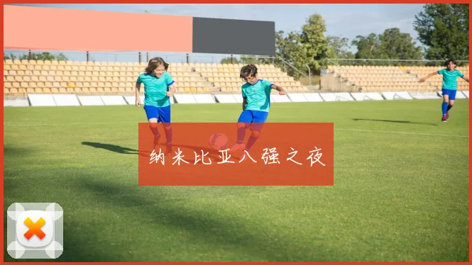 纳米比亚八强之夜