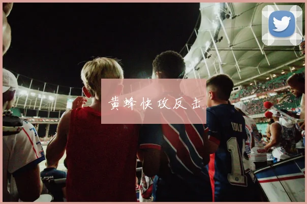 黄蜂快攻反击
