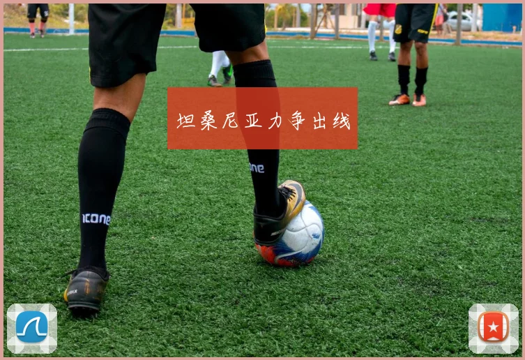 坦桑尼亚力争出线