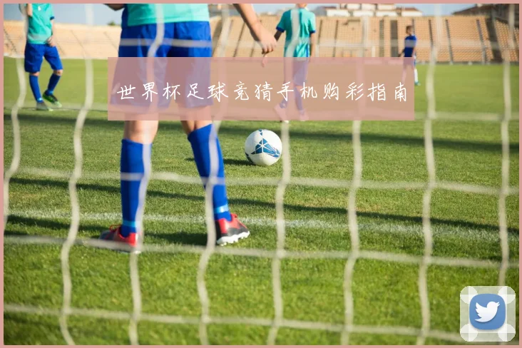 世界杯足球竞猜手机购彩指南