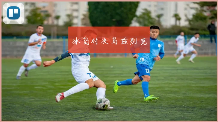 冰岛对决乌兹别克