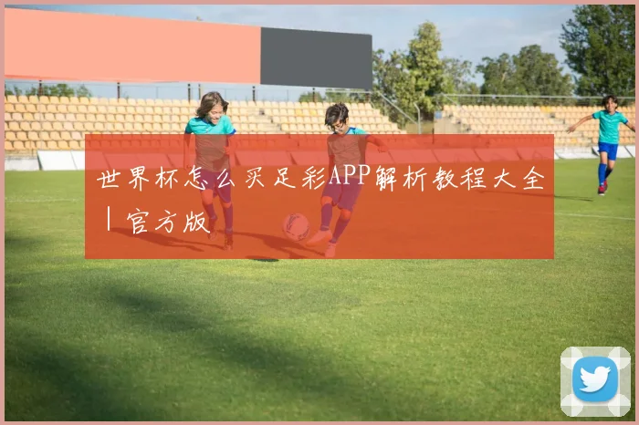世界杯怎么买足彩APP解析教程大全｜官方版