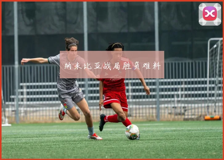 纳米比亚战局胜负难料
