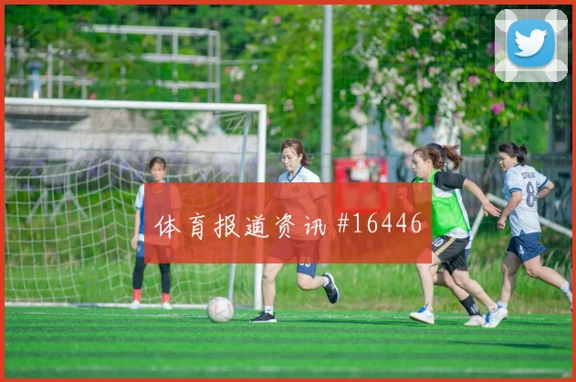 伊朗贾汉巴赫什迎战比利时队速度冲击看点解析