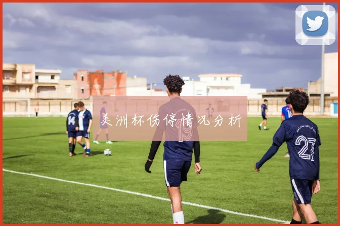 美洲杯伤停情况分析