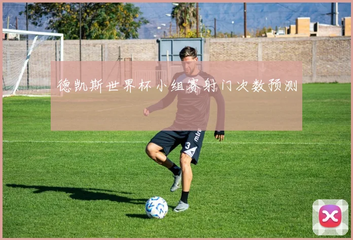 德凯斯世界杯小组赛射门次数预测