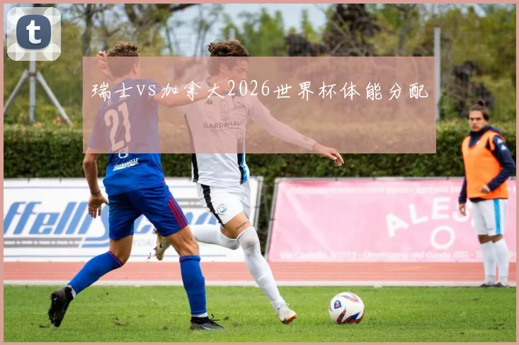 瑞士vs加拿大2026世界杯体能分配