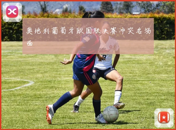 奥地利葡萄牙欧国联决赛冲突名场面
