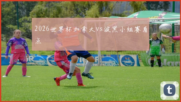 2026世界杯加拿大vs波黑小组赛看点